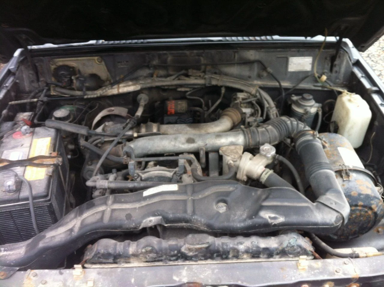 image.webp