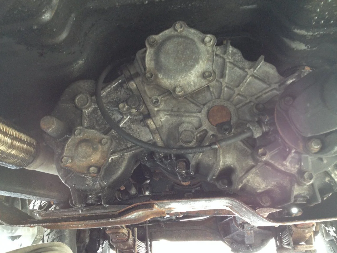 image.webp