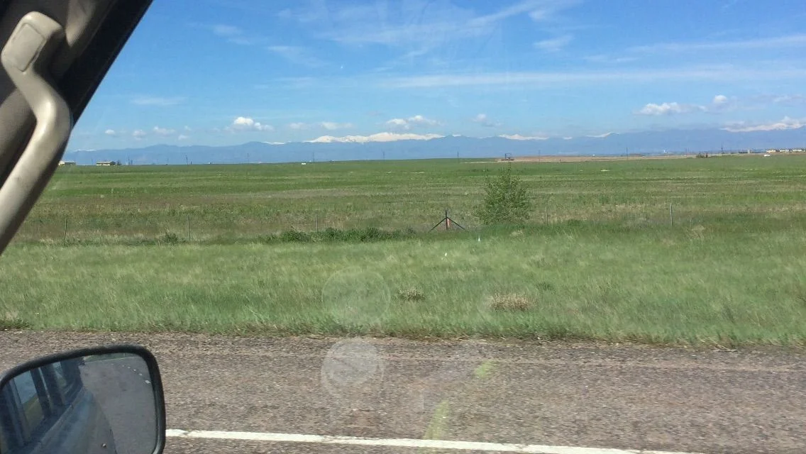image.webp