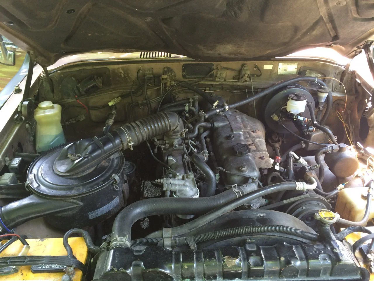 image.webp