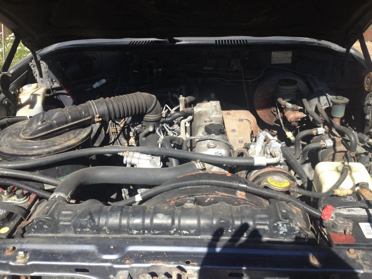 image.webp