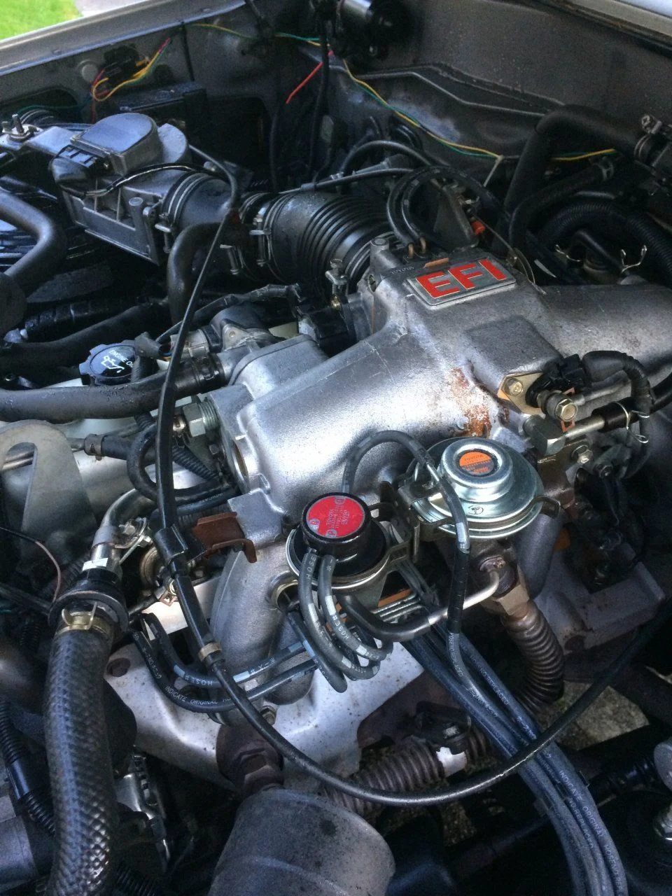 image.webp