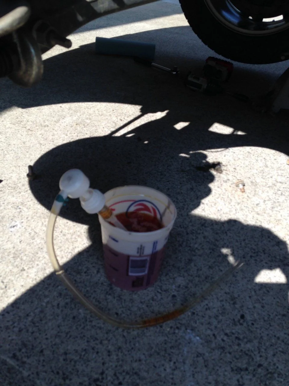 image.webp
