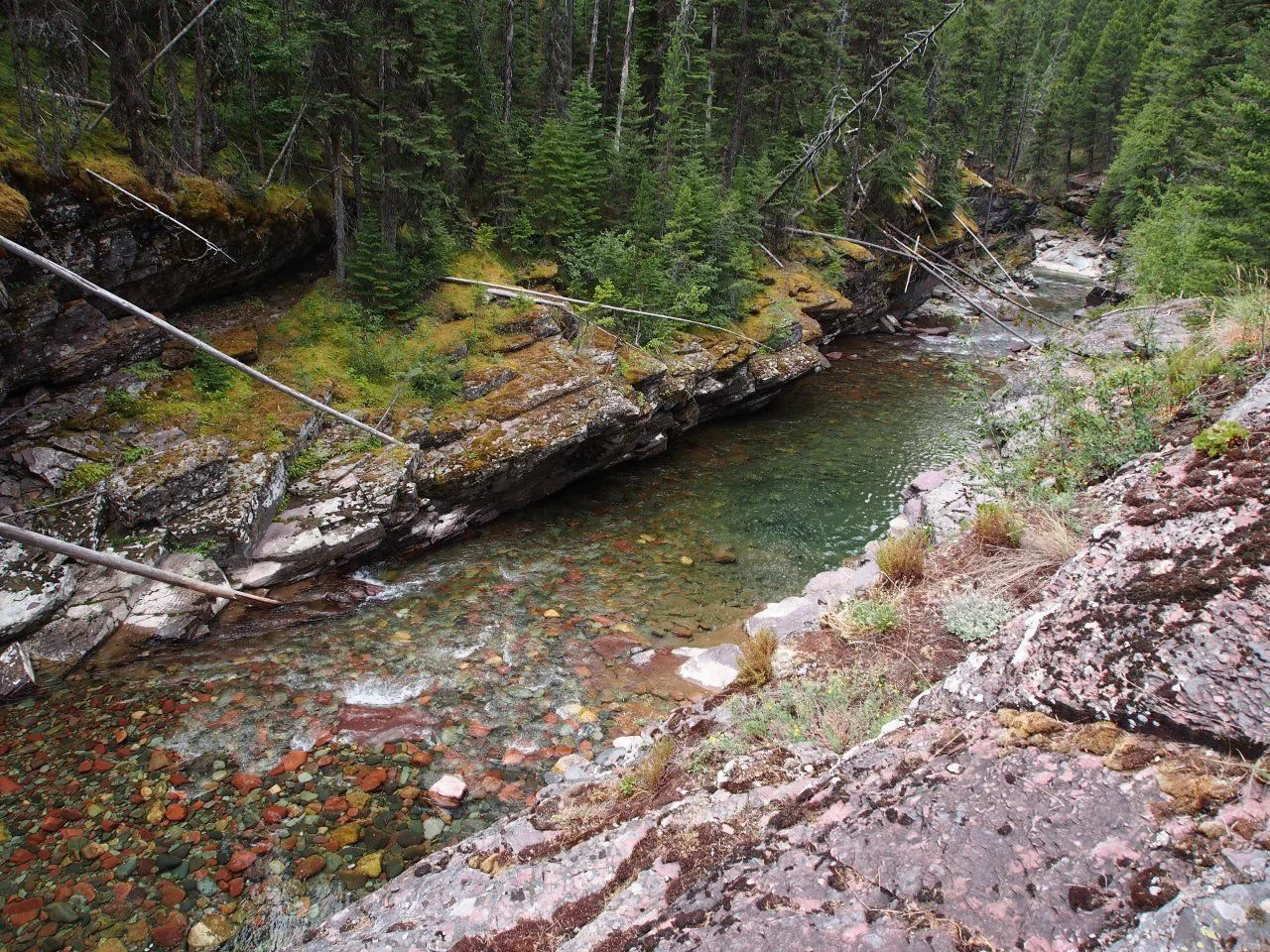 image.webp