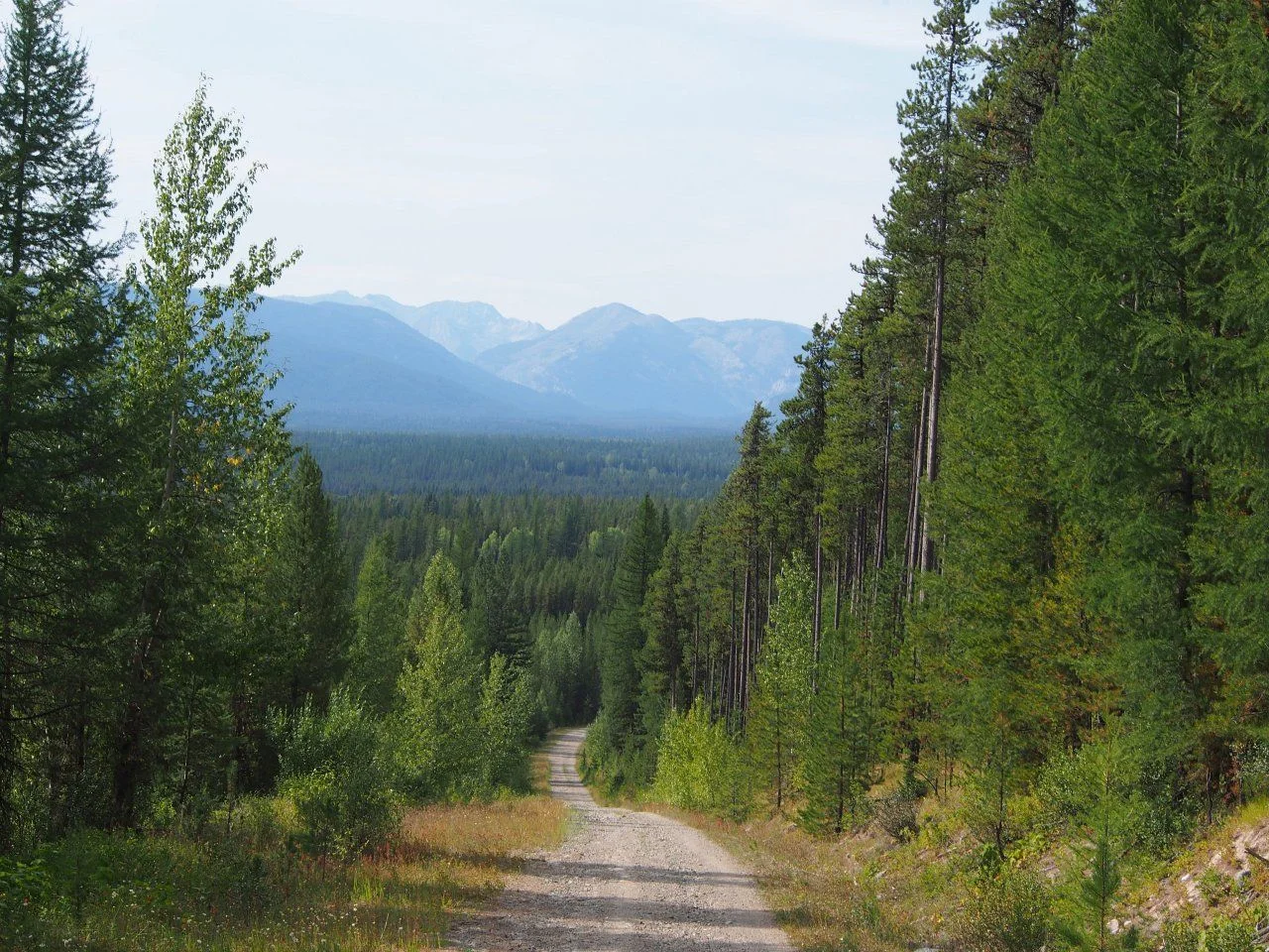 image.webp
