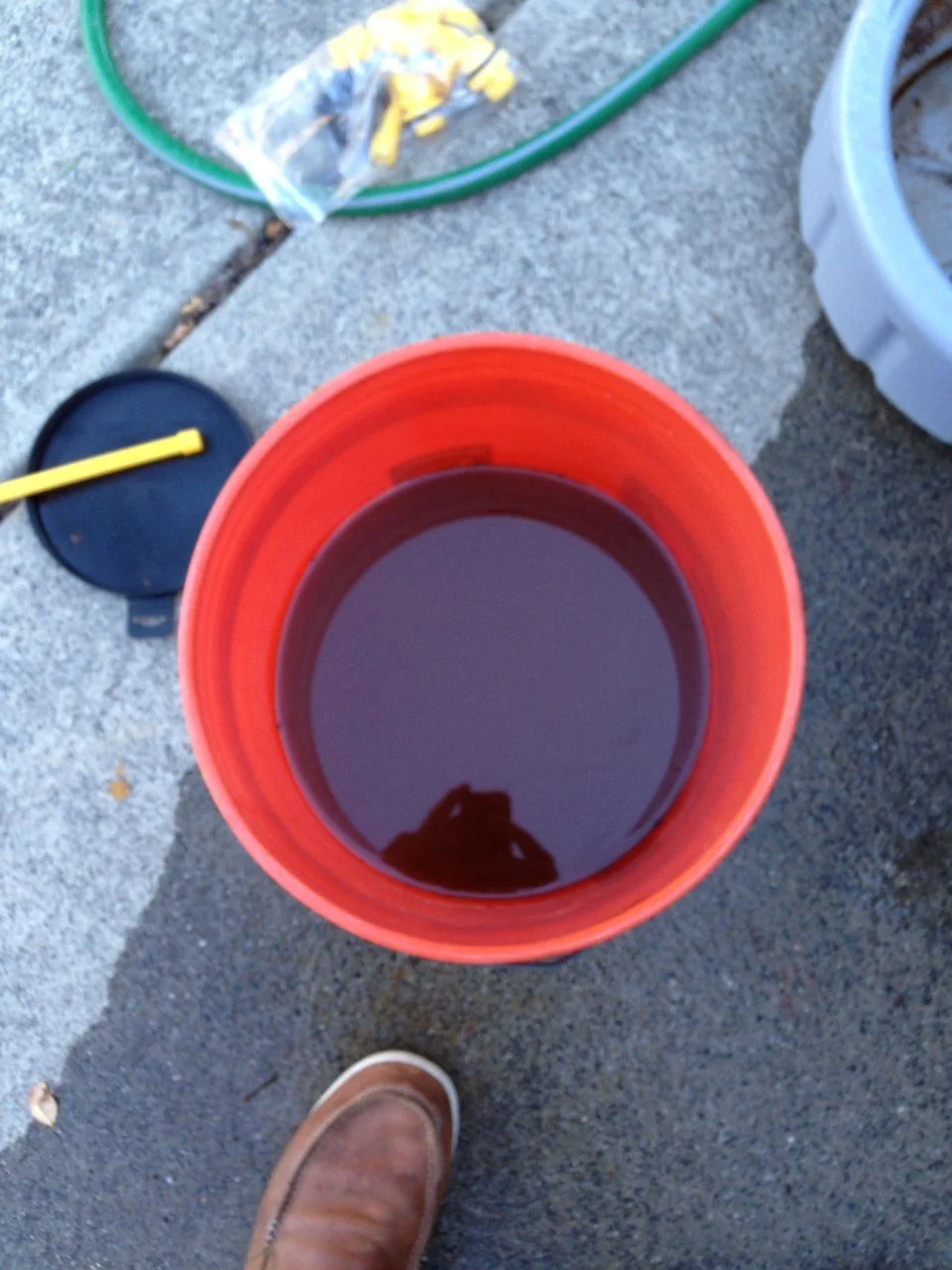 image.webp