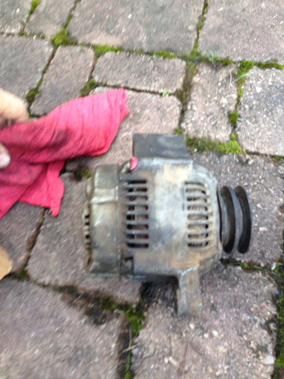 image.webp