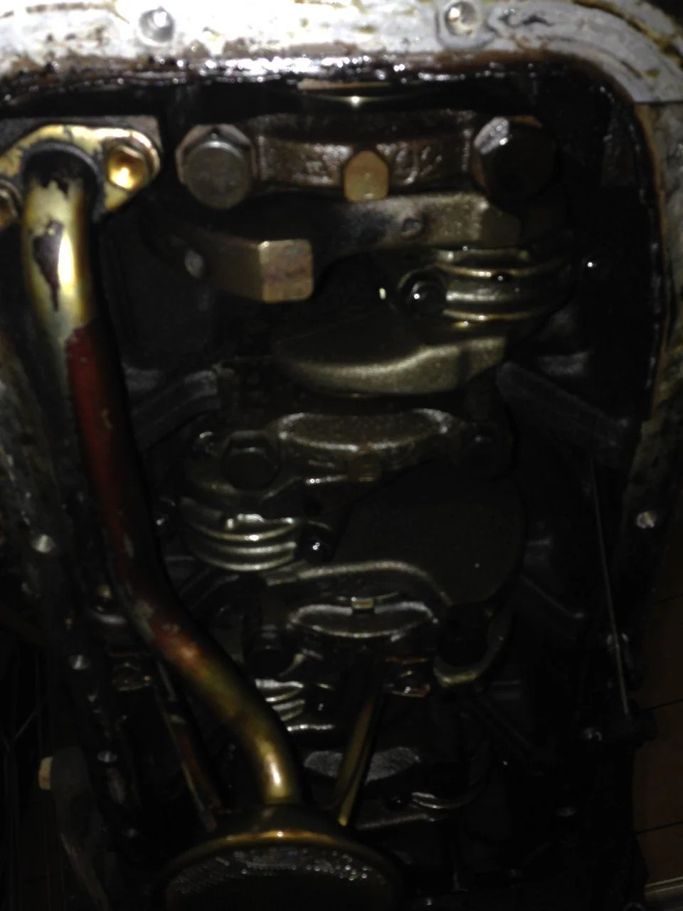 image.webp