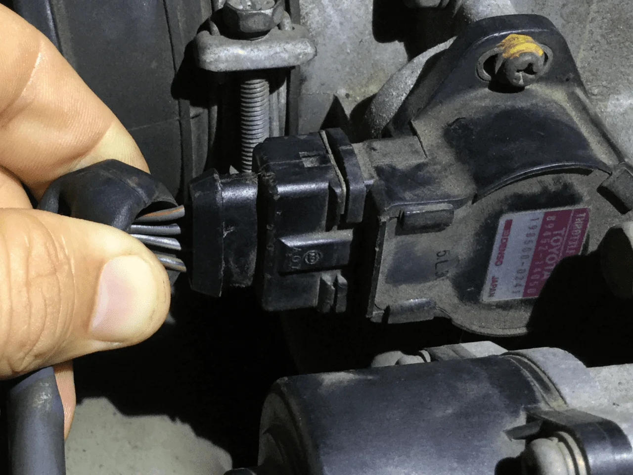 image.webp