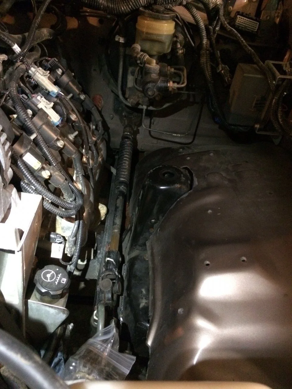 image.webp