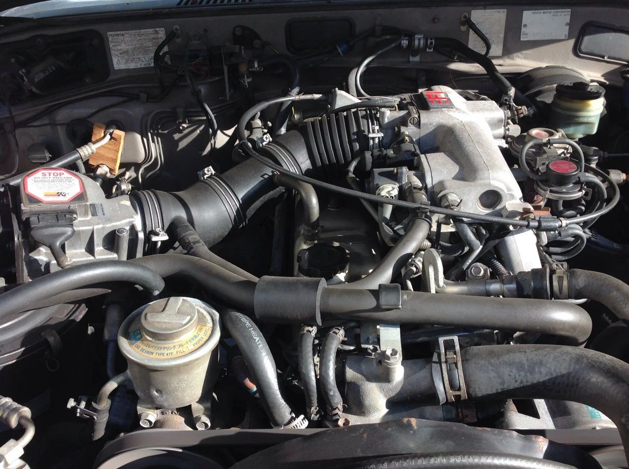 image.webp