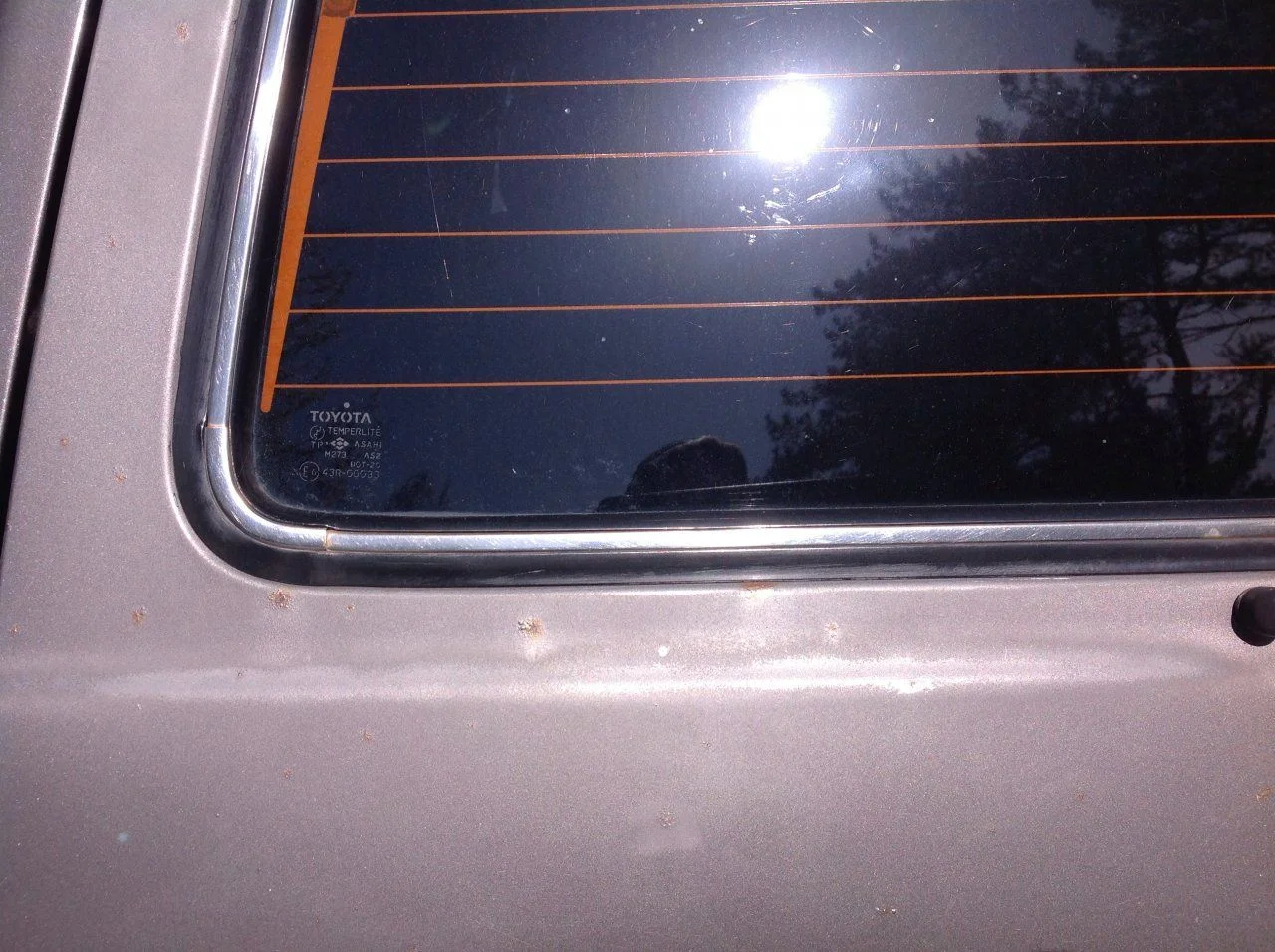 image.webp