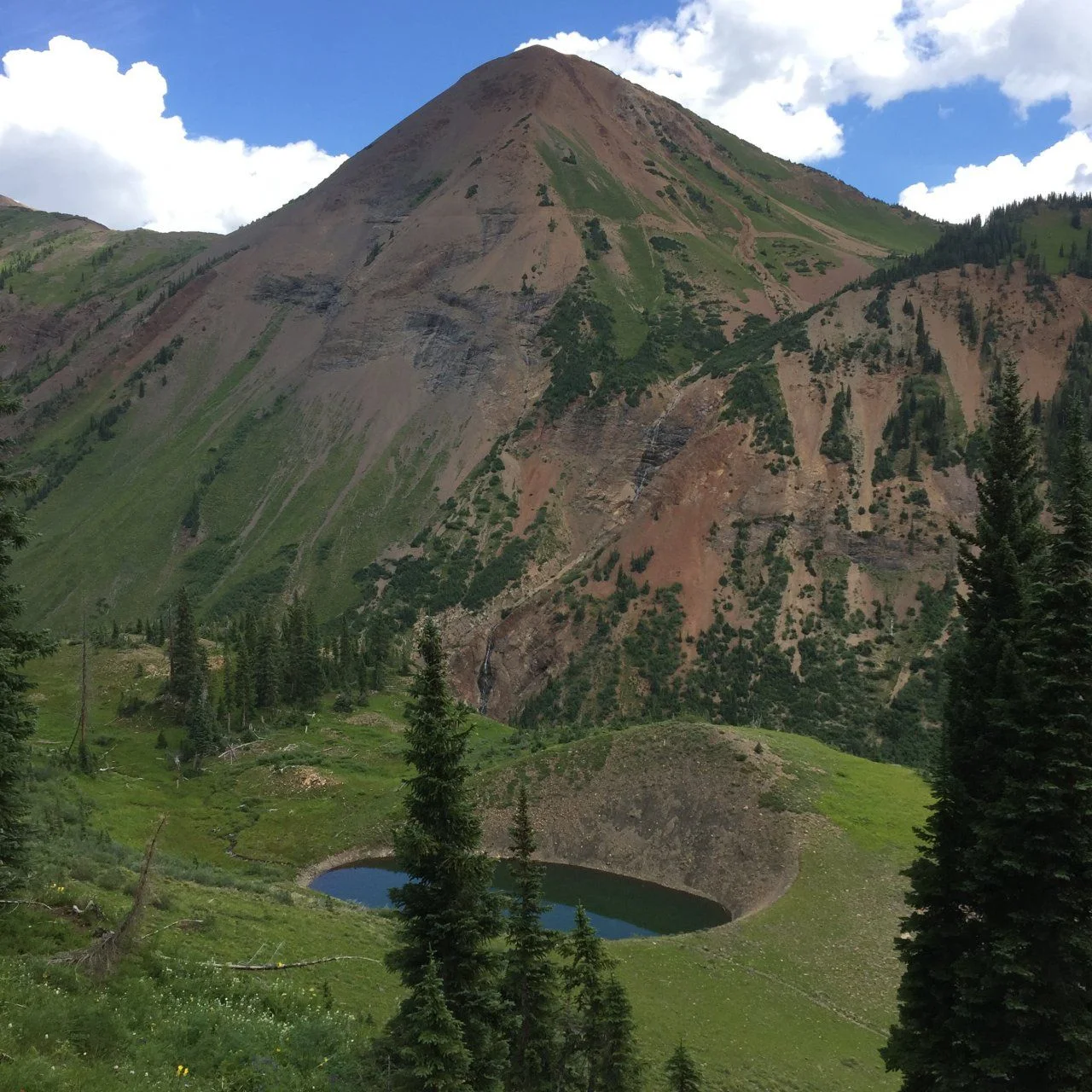 image.webp