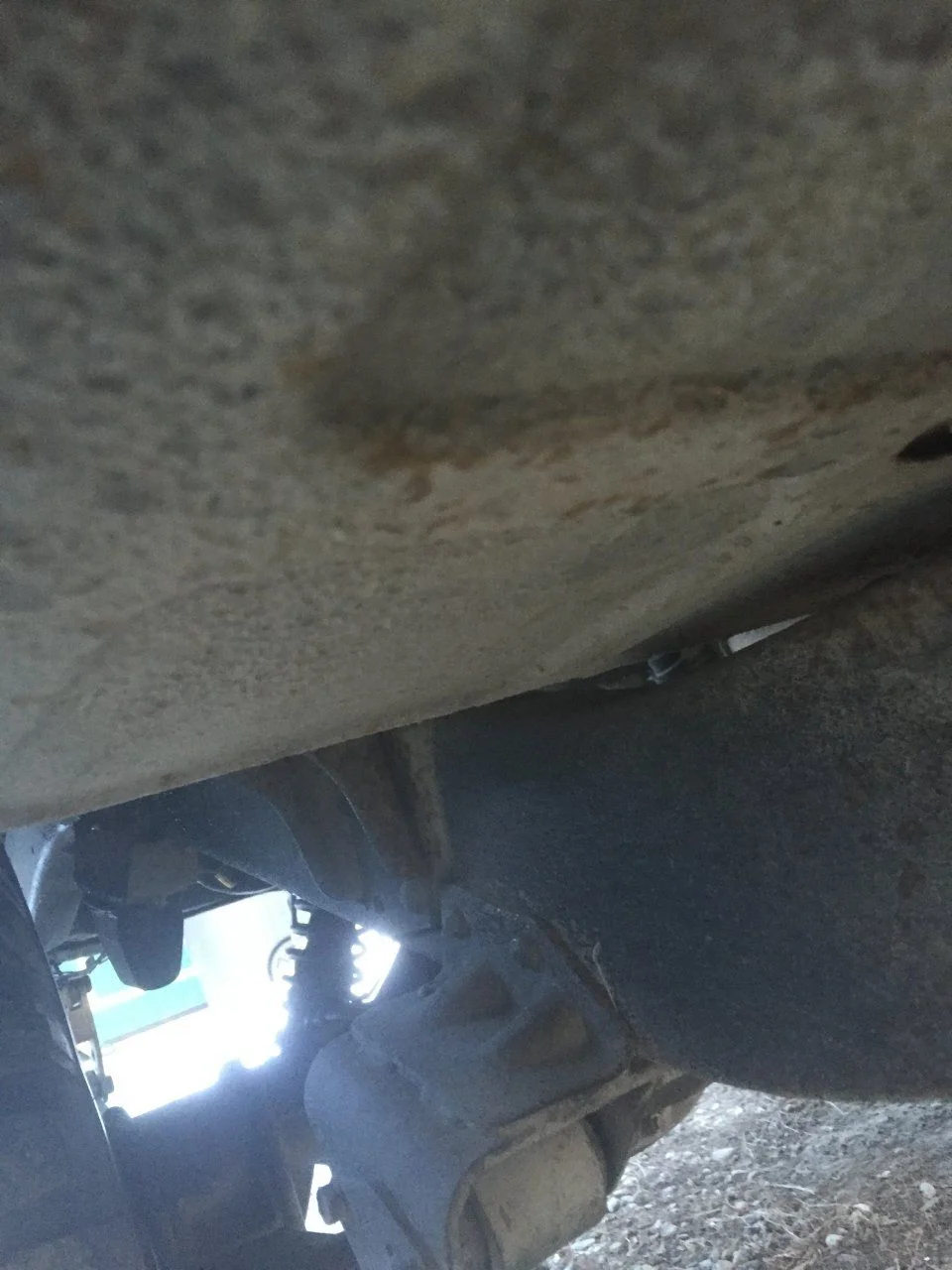 image.webp