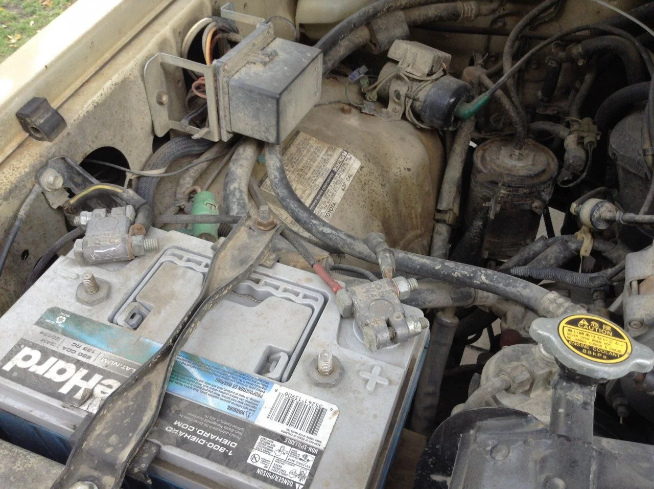 image.webp