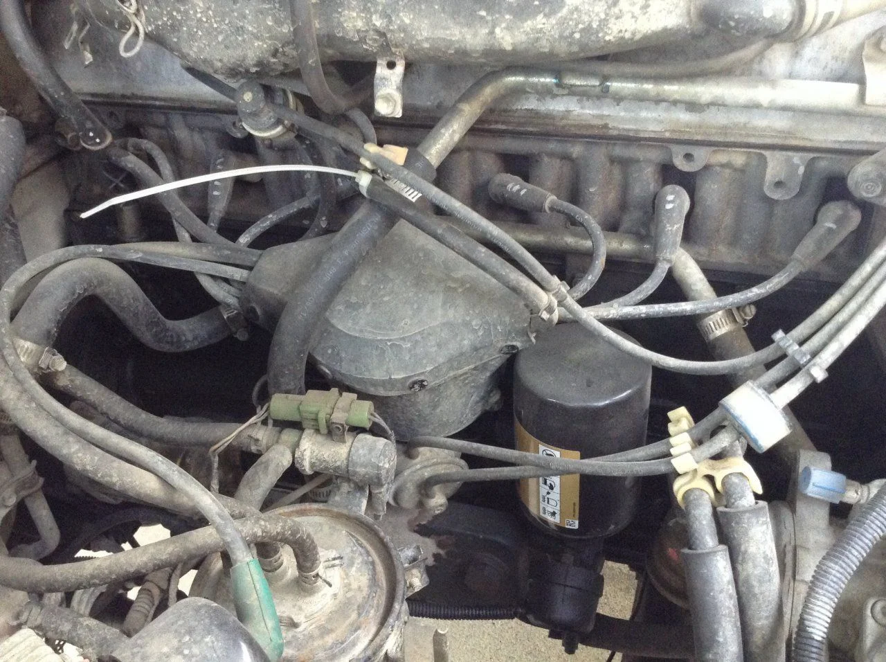 image.webp
