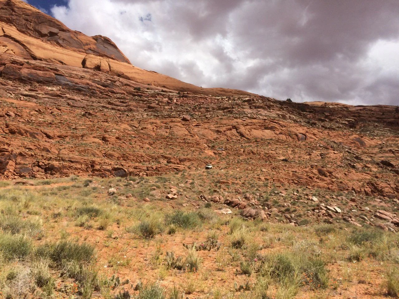 image.webp