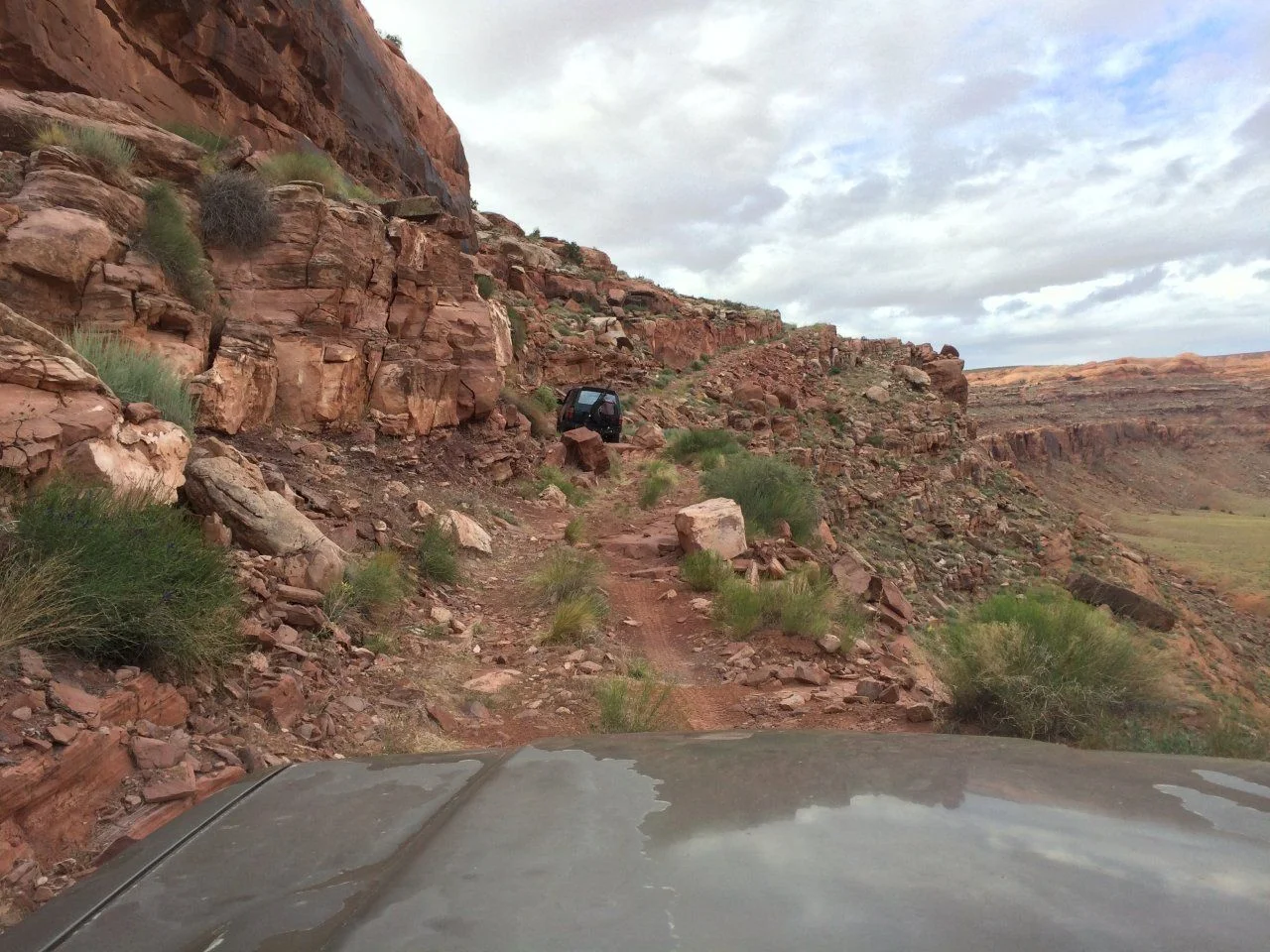 image.webp