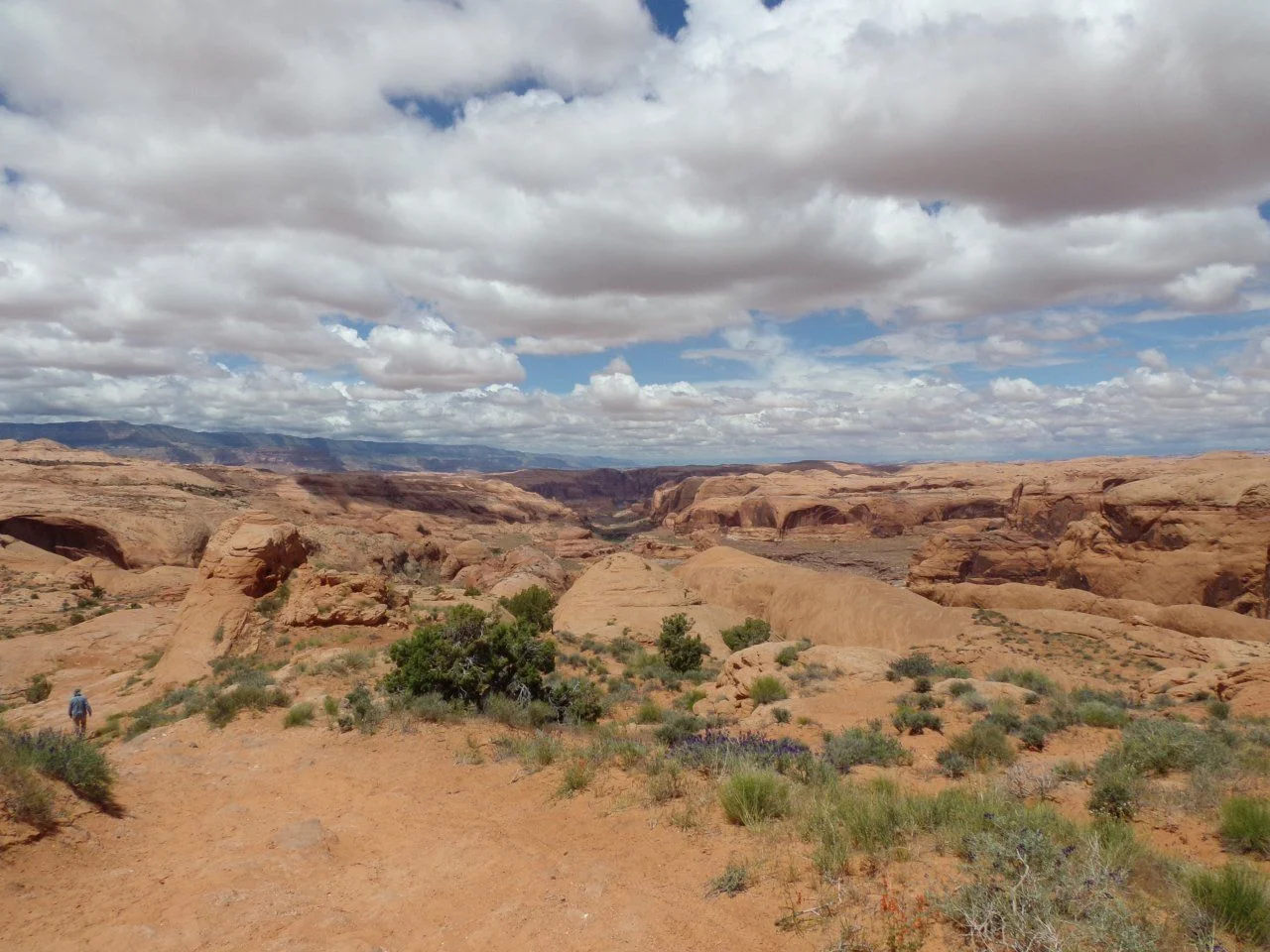 image.webp