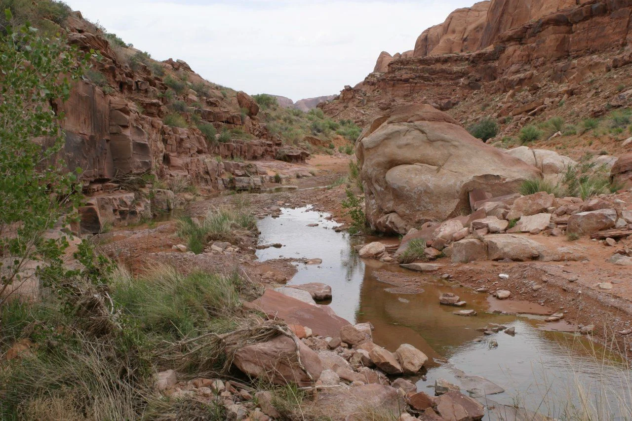 image.webp