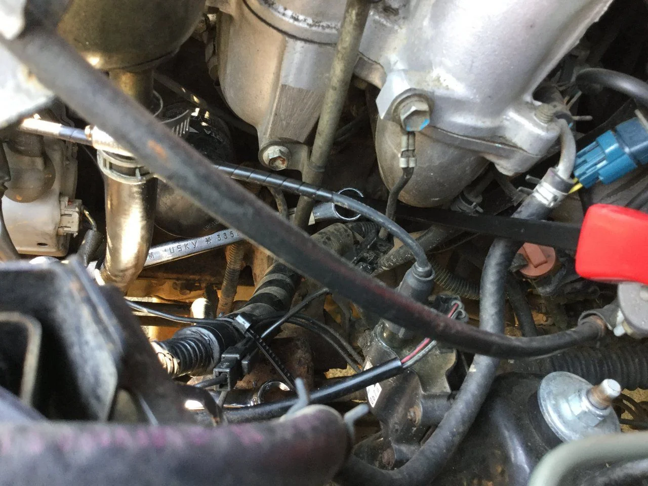 image.webp
