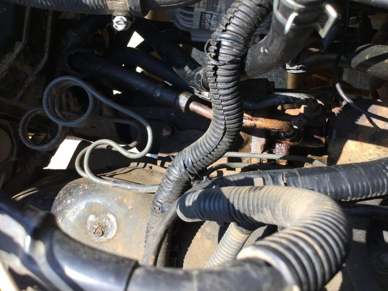 image.webp