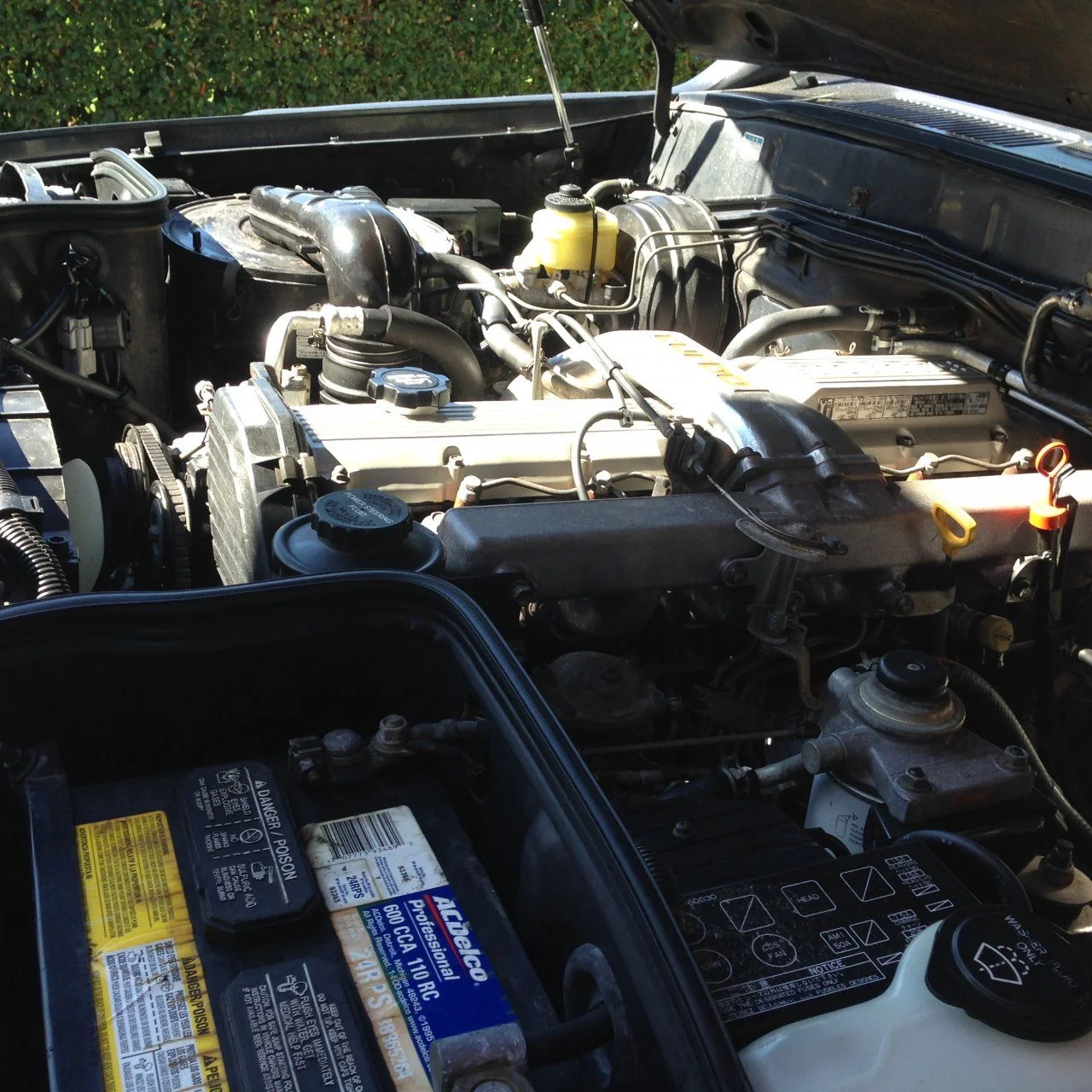 image.webp