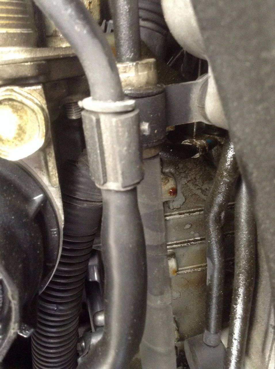 image.webp