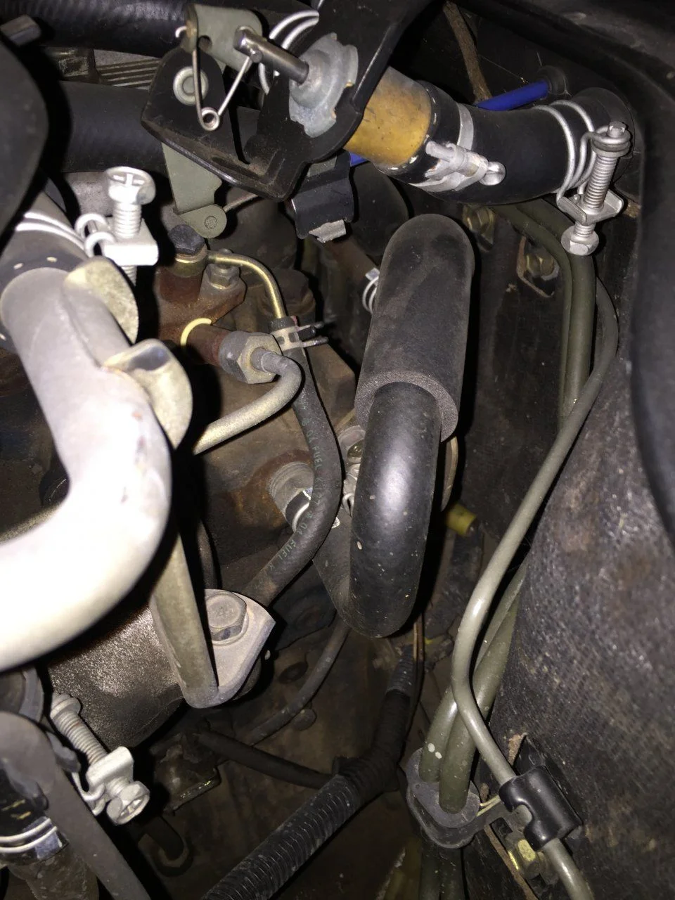 image.webp