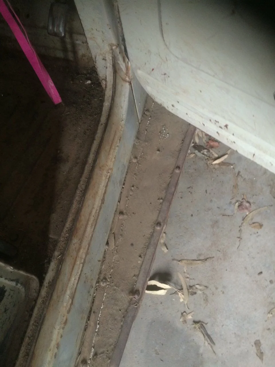image.webp