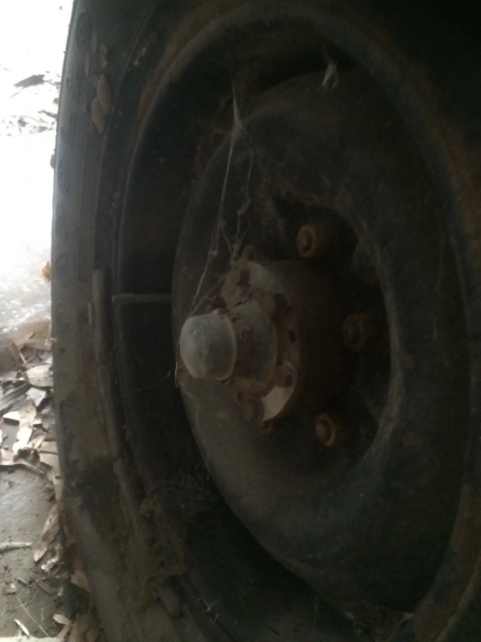image.webp