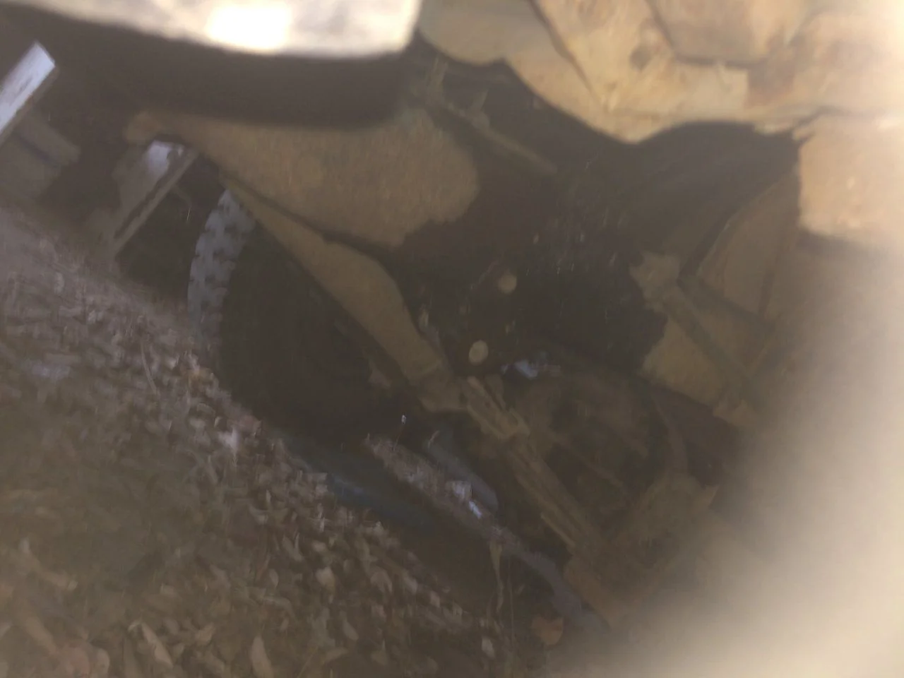 image.webp