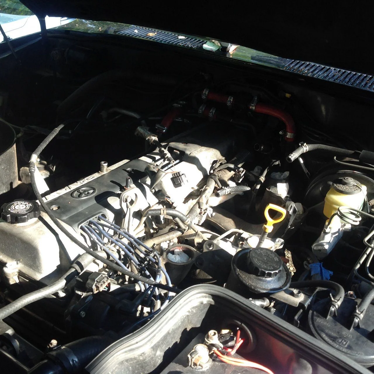 image.webp