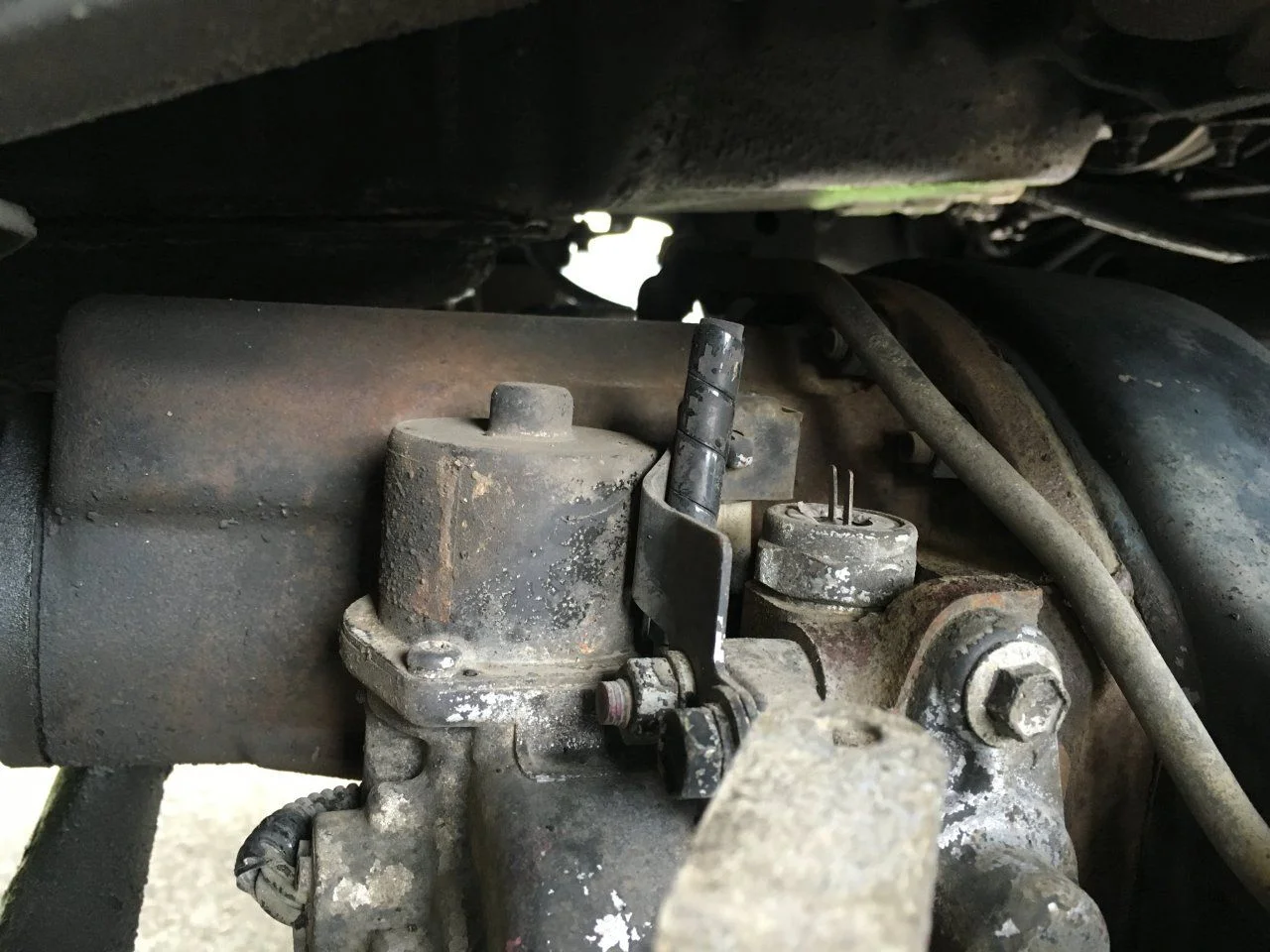 image.webp