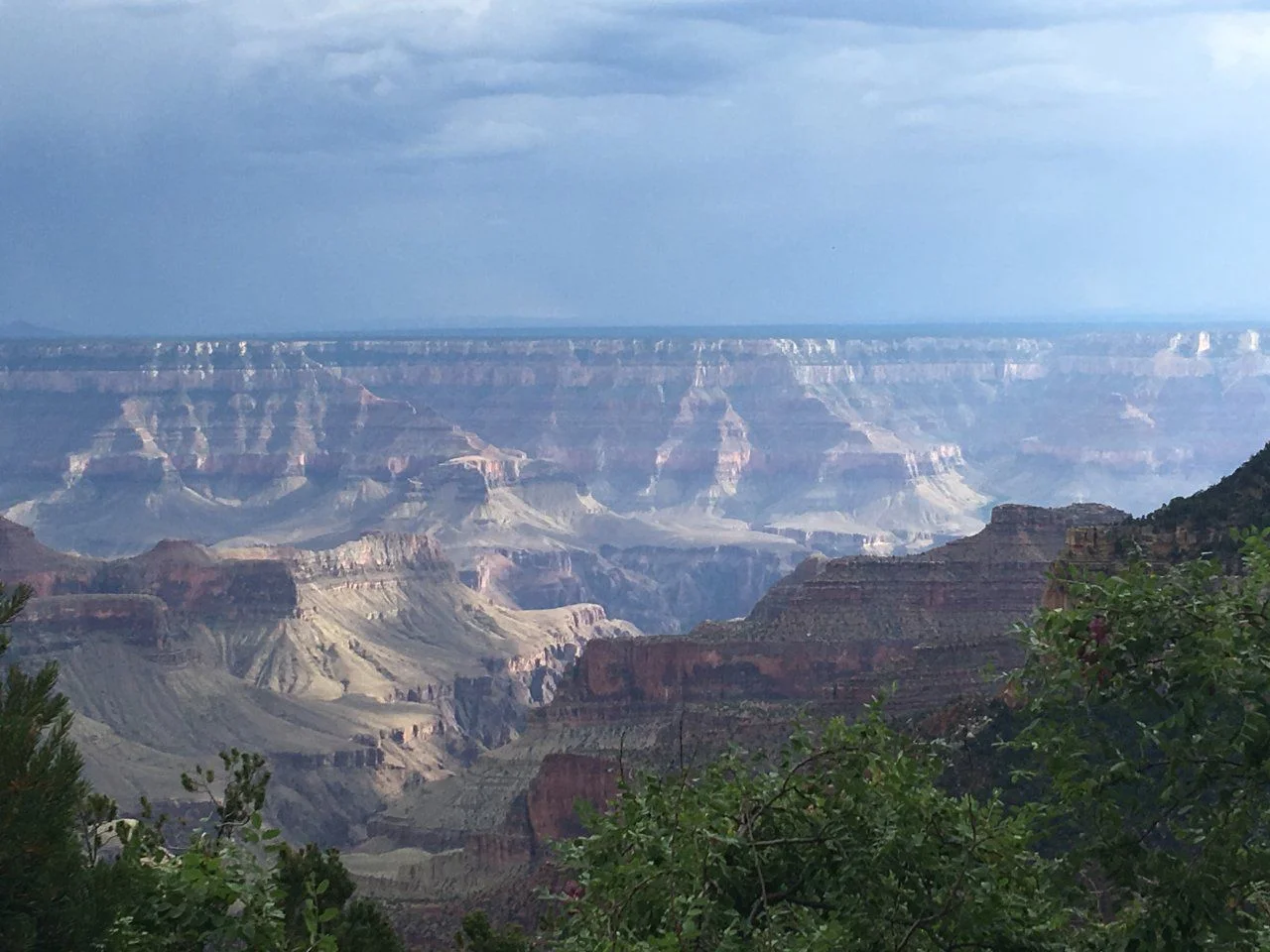 image.webp