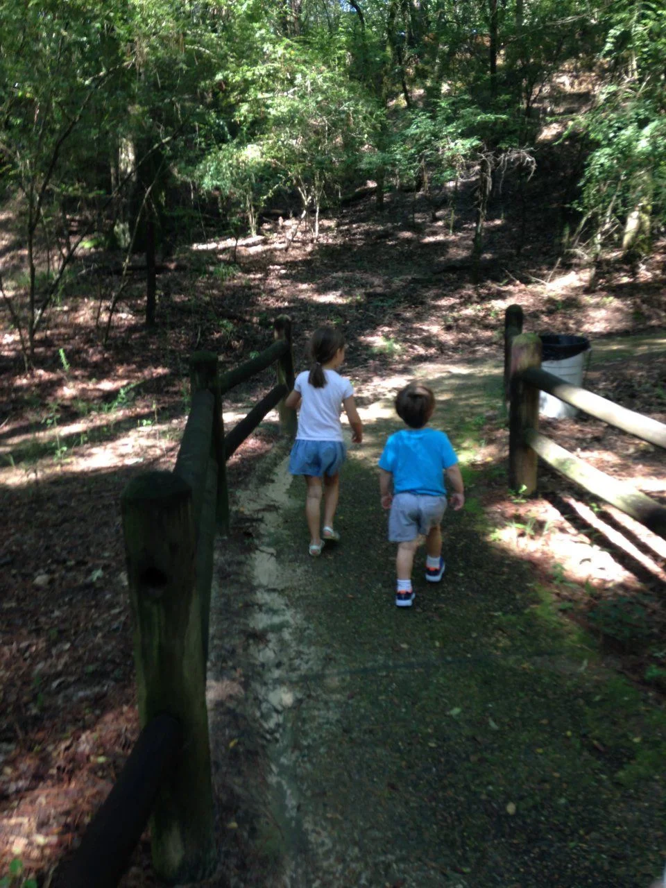 image.webp