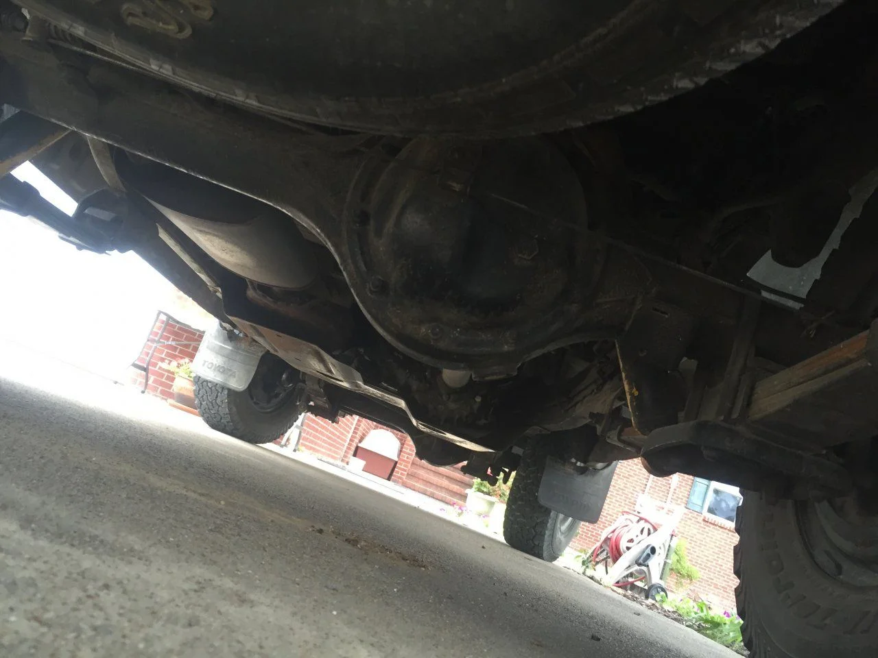 image.webp