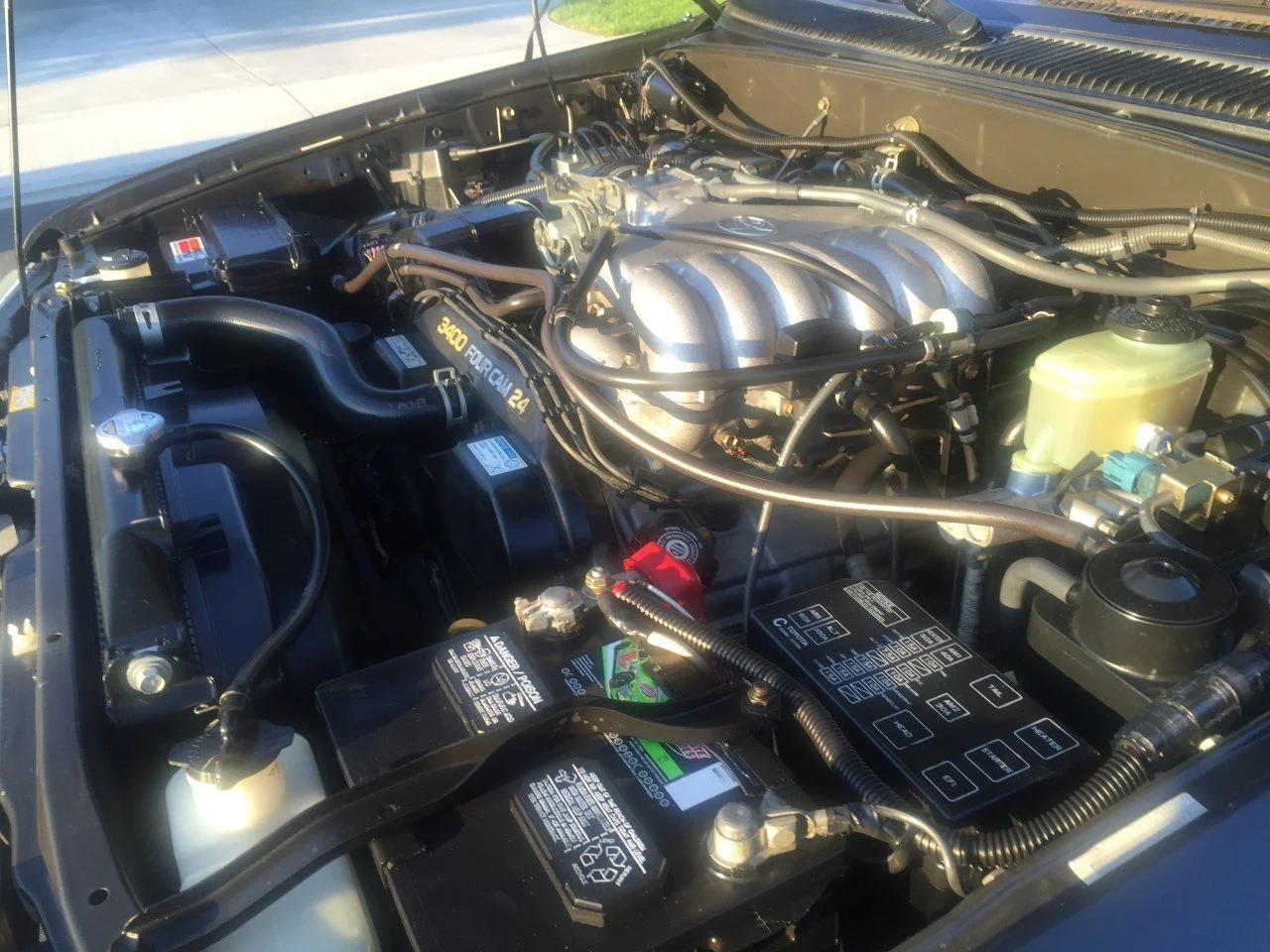 image.webp