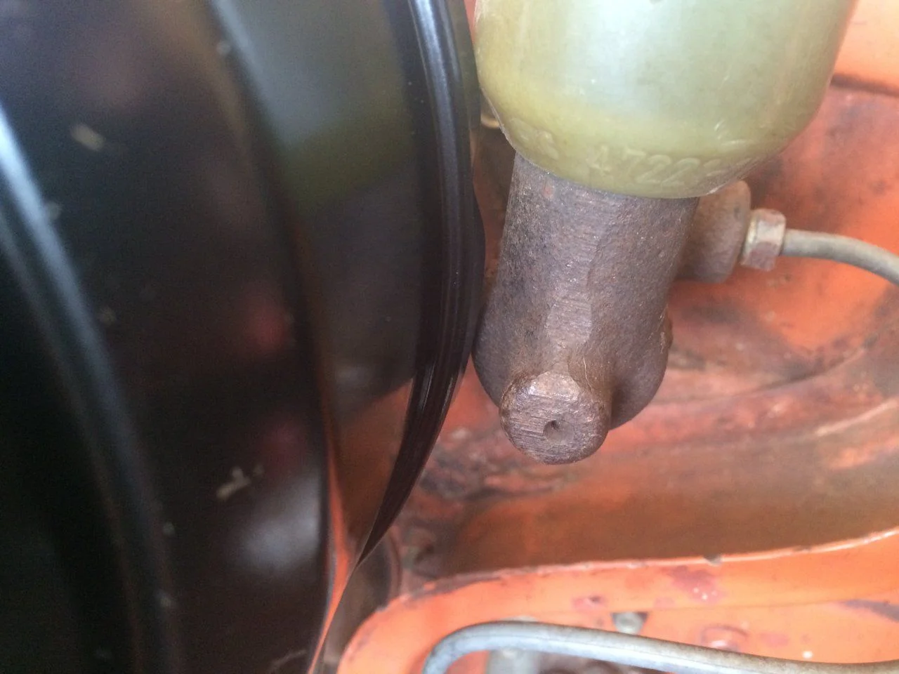 image.webp