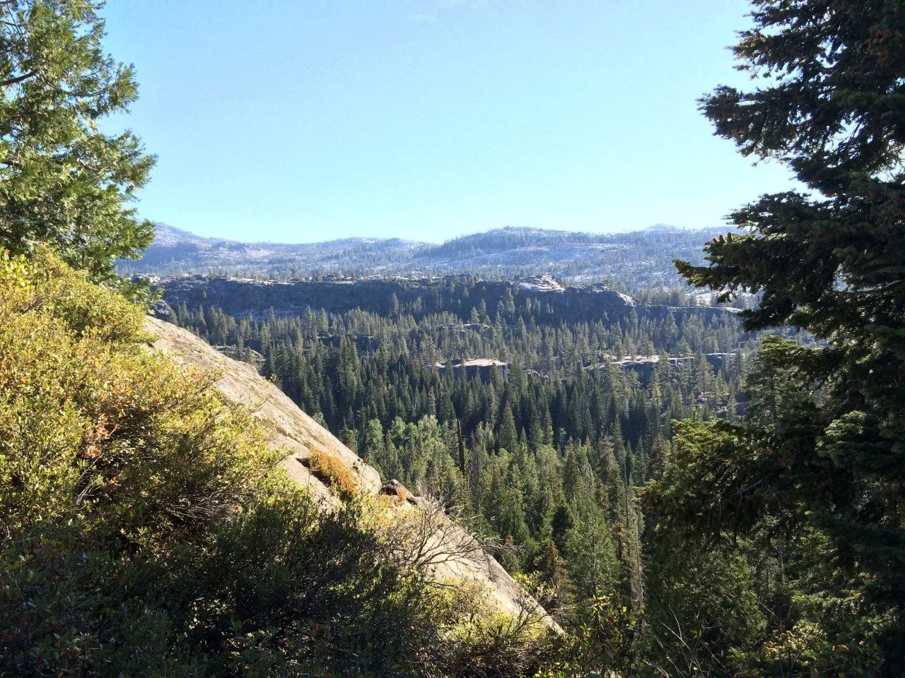 image.webp