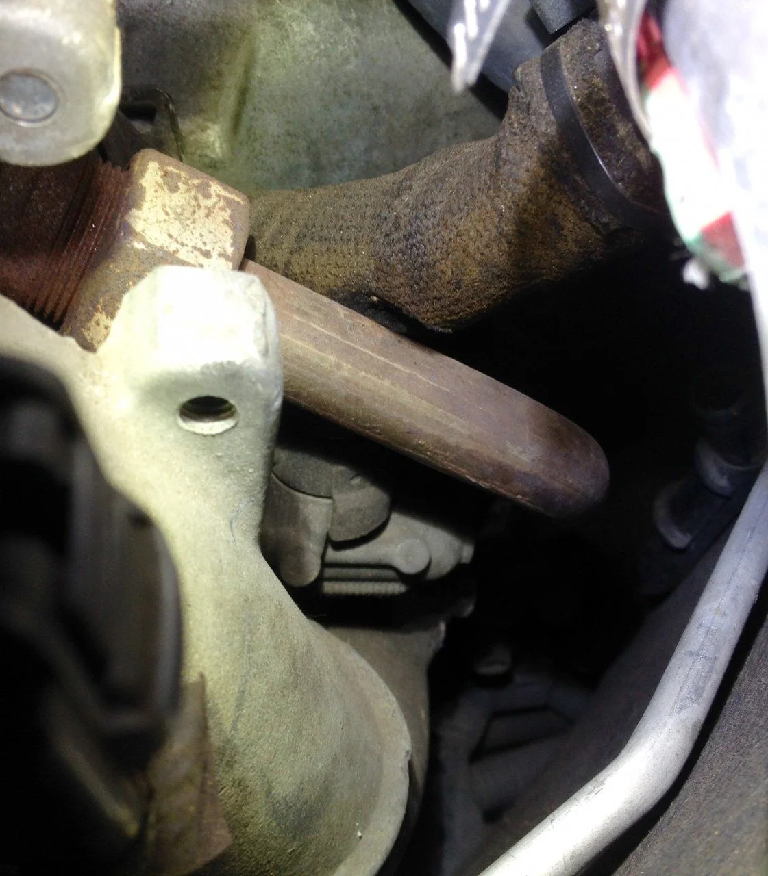 image.webp