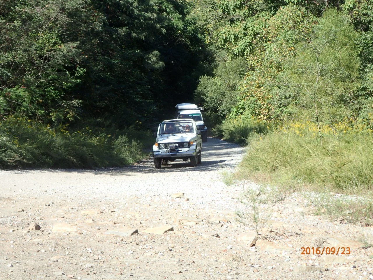 image.webp