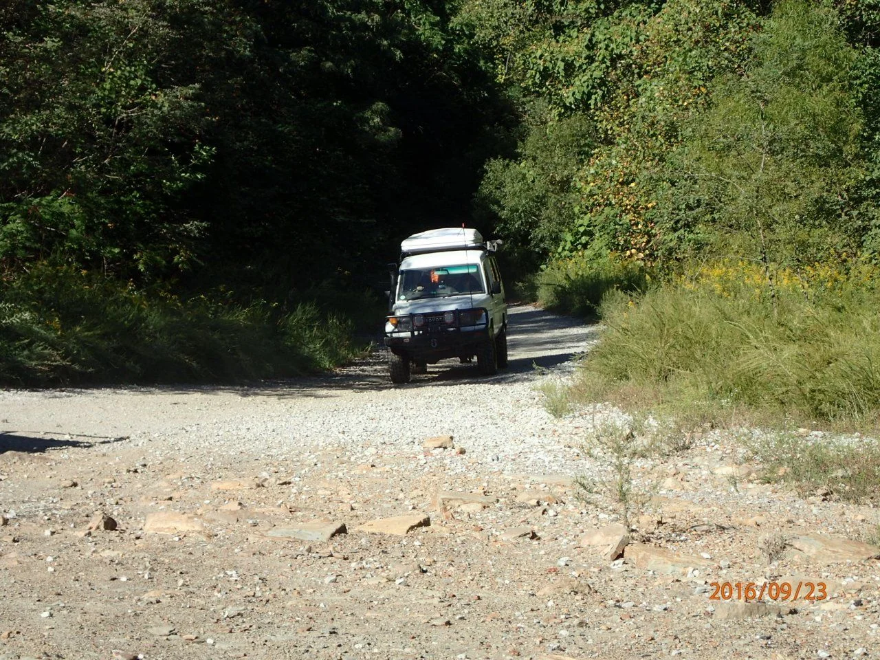 image.webp
