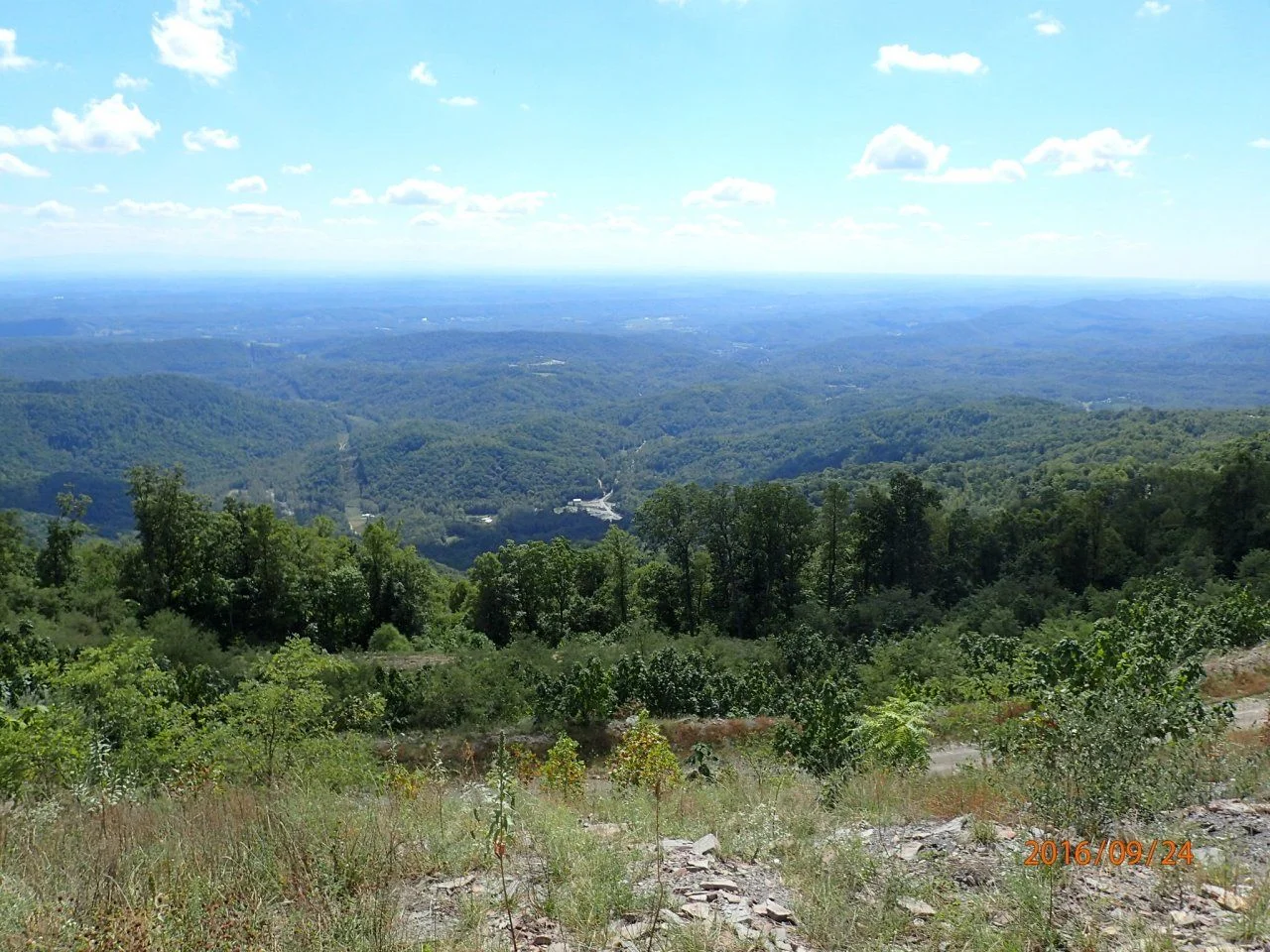 image.webp