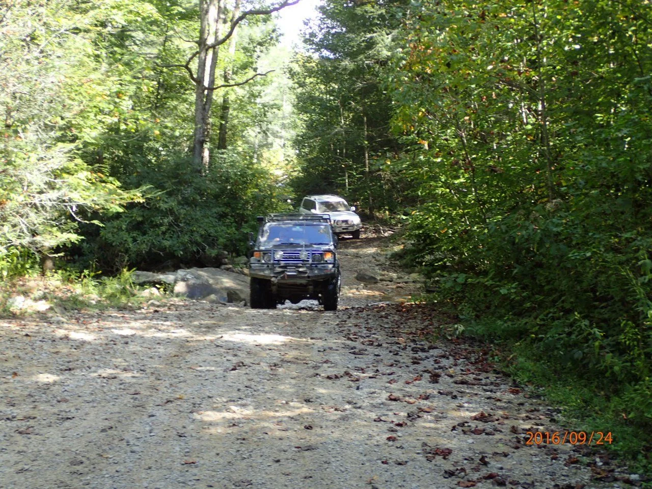 image.webp