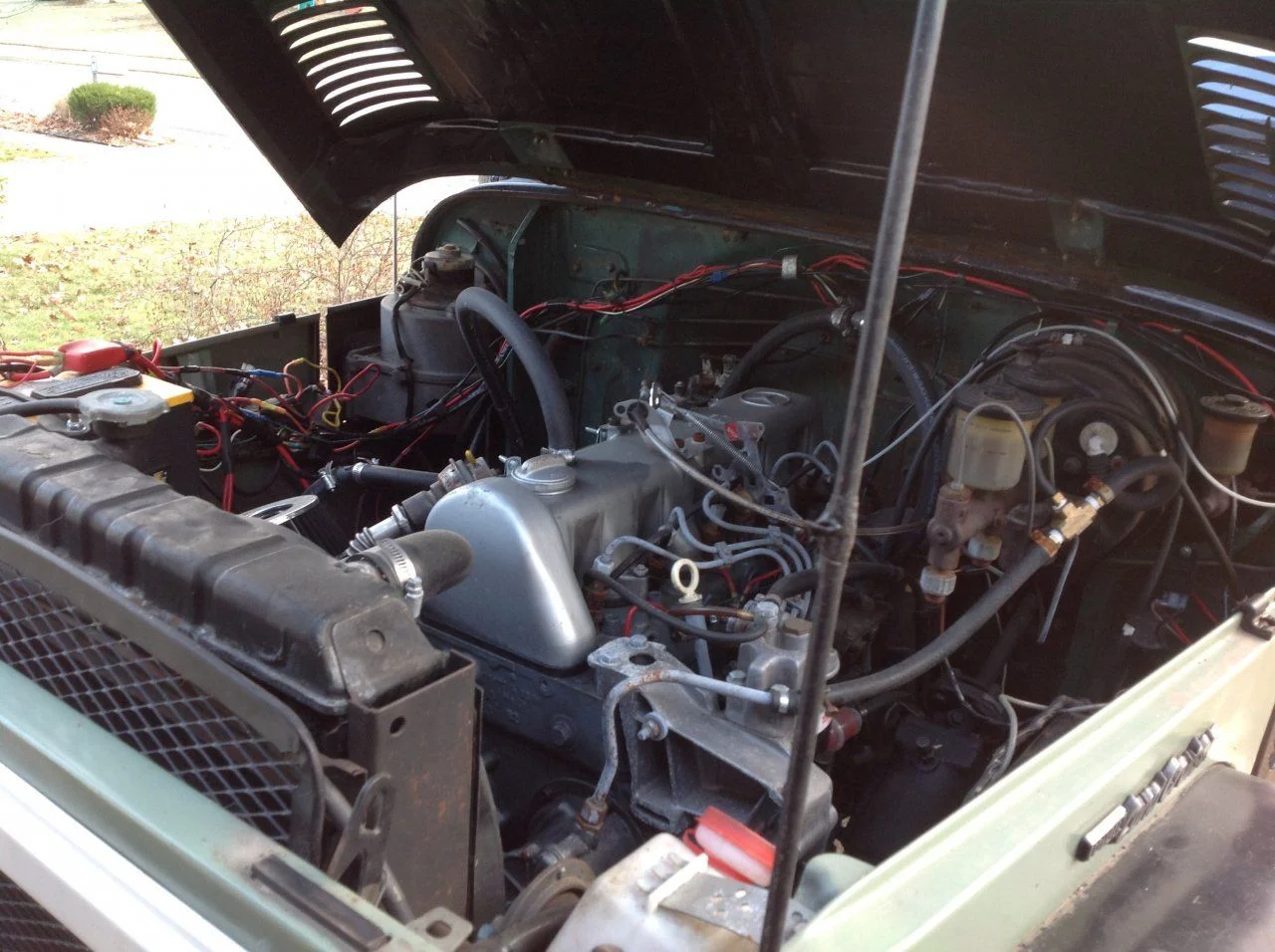 image.webp