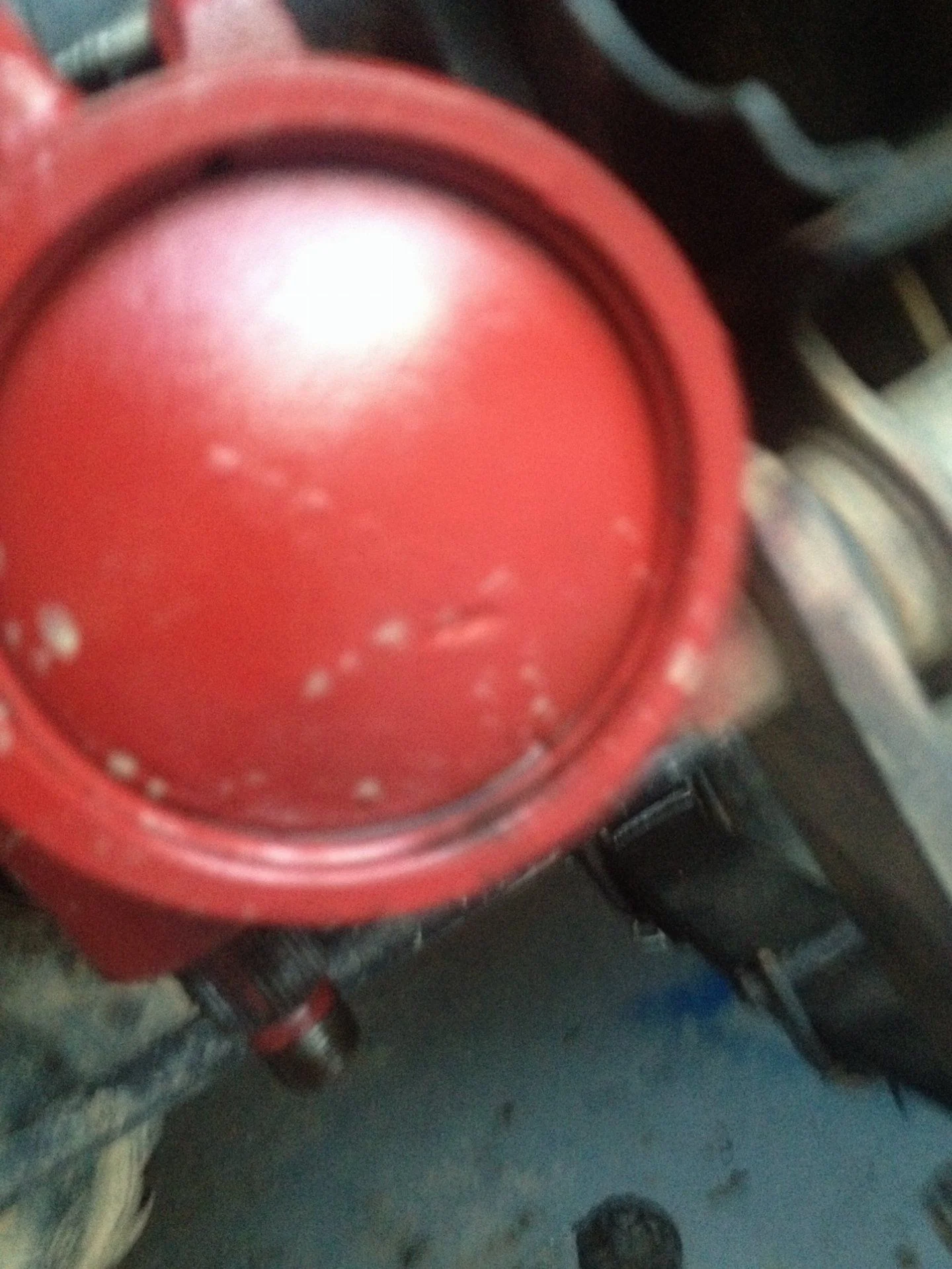 image.webp