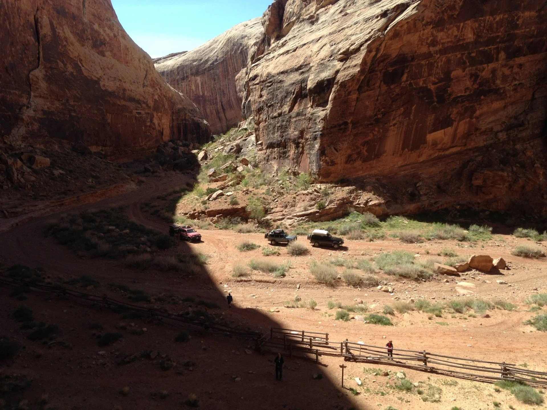 image.webp