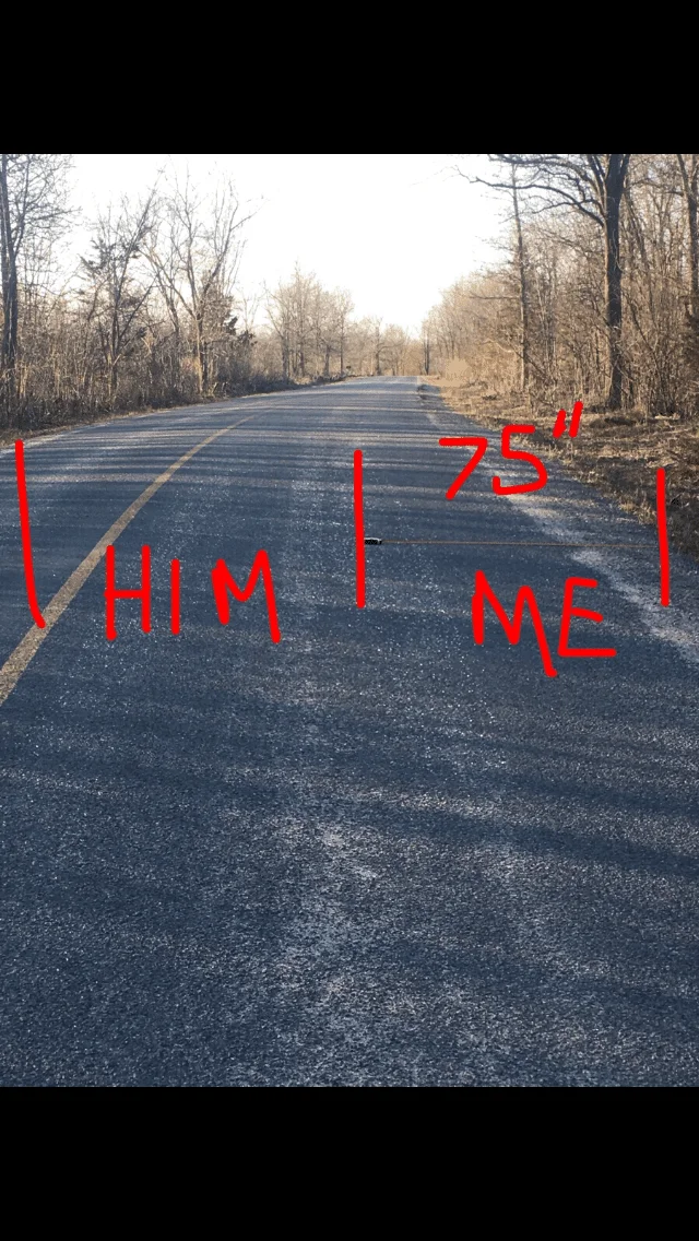 image.webp