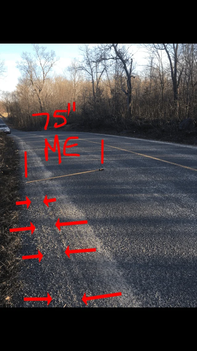 image.webp